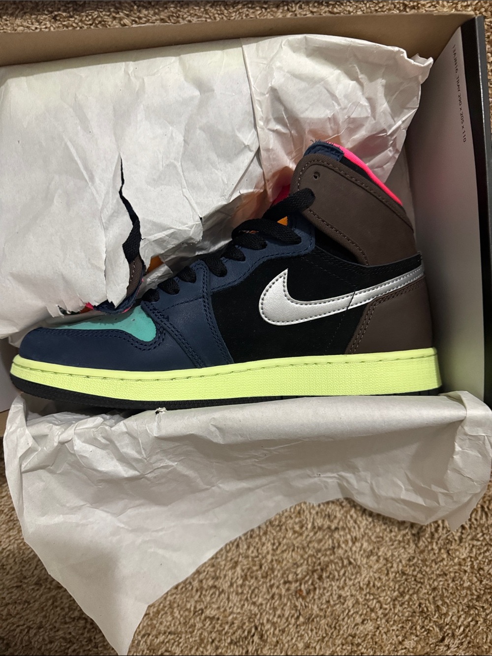 Biohack Jordan 1s